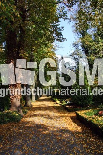 Herbst-Friedhof 025.jpg